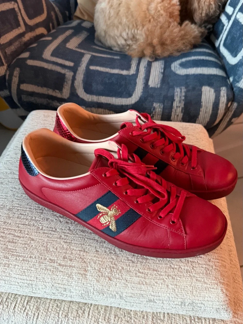 Gucci Red Leather Women's Sneakers with Navy Stripe and Gold Bee
